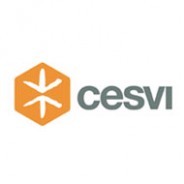 Cesvi